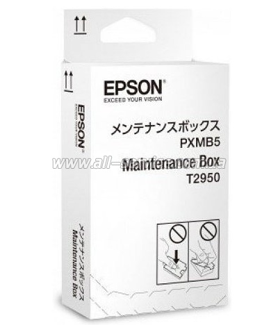    Epson WF-100 (C13T295000)
