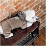  Pet Fashion Soft S  (4823082427895)