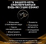 Влажный корм для кошек Purina Pro Plan Veterinary Diets NF Renal Function Early Care С курицей 10 x 85г (7613287873934) Влажный корм для кошек Purina Pro Plan Veterinary Diets NF Renal Function Early Care С курицей 10 x 85г (7613287873934)