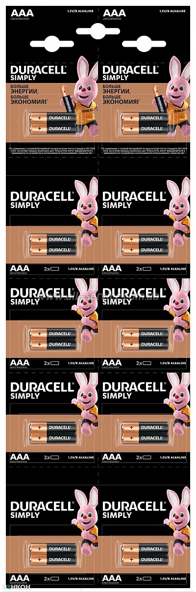  Duracell AAA MN2400 LR03  2*10 (5011646)