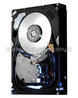  300GB Hitachi 3.5