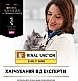 Влажный корм для кошек Purina Pro Plan Veterinary Diets NF Renal Function Early Care С курицей 10 x 85г (7613287873934) Влажный корм для кошек Purina Pro Plan Veterinary Diets NF Renal Function Early Care С курицей 10 x 85г (7613287873934)