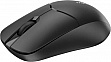  Rapoo 1510 Wireless Black (1510 Black)