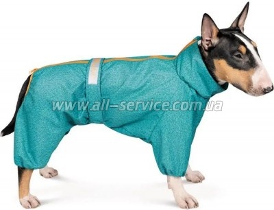  Pet Fashion 