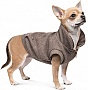  Pet Fashion Harry XS2 (4823082430109)