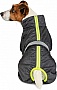  Pet Fashion 