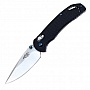  Firebird F753M1-GR