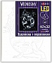    Santi Awakening the Beast 4050  LED  (955077)