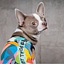  Pet Fashion Cool M  (4823082420193)