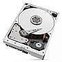  Seagate SkyHawk HDD 8 TB (ST8000VX004)