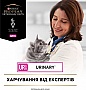 Влажный корм для кошек Purina Pro Plan Veterinary Diets UR ST/ OX Urinary С курицей 10 x 85г (8445290093592) Влажный корм для кошек Purina Pro Plan Veterinary Diets UR ST/ OX Urinary С курицей 10 x 85г (8445290093592)