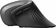 ����� Trust Verro Ergonomic Wireless Black (23507)