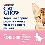     Purina Cat Chow Kitten   15  (5997204514028)