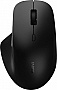  Rapoo M50 Plus Silent Wireless Black (M50_plus)