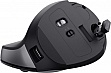  Trust Bayo 2 Ergonomic Wireless/USB-A Black (25145)