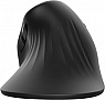 ����� Trust Verro Ergonomic Wireless Black (23507)