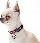    WAUDOG Nylon  QR  NASA  - S (5119)