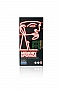  8GB   DDR3 1600Mhz Low Voltage (KCP3L16SD8/8)
