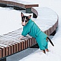  Pet Fashion Cold   XS  (4823082425365)