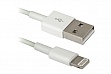  DEFENDER ACH01-03H USB(AM)-Lighting 1m (87470)