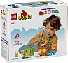 ����������� LEGO DUPLO Town ���� �� ������� � ������ 22 ������� (10419)