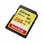   256GB SanDisk SDXC C10 UHS-I U3 (SDSDXNF-256G-GNCIN)