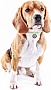 ������ ��� ��������� WAUDOG Smart ID ��������������� � 42-76 �� ��������� (60415)