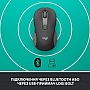  Logitech Signature M650 Wireless Graphite (910-006253)