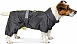  Pet Fashion 