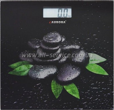  Aurora AU4308