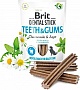    Brit Dental Stick Teeth&Gums    251  (8595602564354)