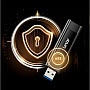 USB   Lexar 256GB JumpDrive M900 USB 3.1 (LJDM900256G-BNQNG)