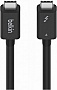 ���� ������ USB-C to USB-C 2.0m Thunderbolt 4 40Gbps 100w black Belkin (INZ002BT2MBK)