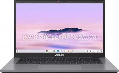  ASUS Chromebook Plus CX34 CX3402CVA-PQ0522 (90NX07P2-M00KZ0)
