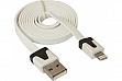  DEFENDER ACH01-03P USB(AM)-Lighting 1m (87472)