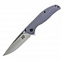  SKIF Proxy G-10/SF grey 419D