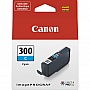  Canon PFI-300 PM (4198C001)