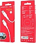 ���� ������ USB 2.0 AM to USB-C 1.0m 3A silicone BX30 white BOROFONE (6931474706935)