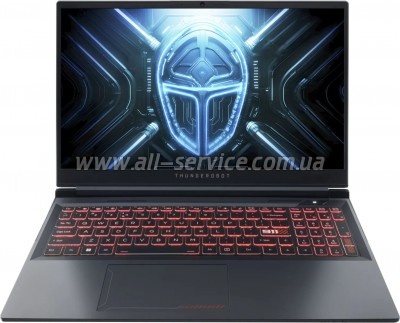  Thunderobot R16 (R16-i9139HX57TC1Q300RG)