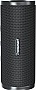   Tronsmart Mirtune C3 Black (1096414)