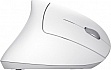 ����� Trust Verto Ergonomic White (25132)