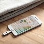  64GB Kingston DataTraveler Bolt Duo USB 3.1 Gen.1 / Lightning Apple (C-USB3L-SR64G-EN)