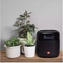   JBL Tuner XL Black (JBLTUNERXLBLKEU)