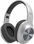  Panasonic RB-HX220BEE-S Gray (RB-HX220BEE-S)