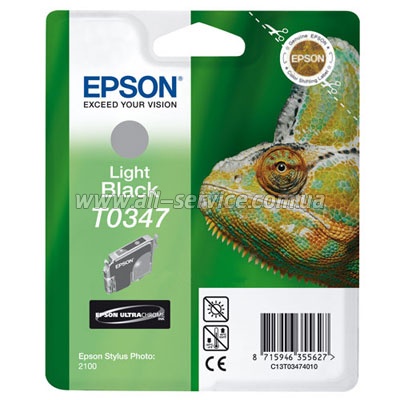  Epson St Photo 2100 grey (C13T03474010)