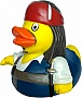    Funny Ducks    (1320)