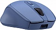 Мышка Trust Zaya Rechargeable Wireless Blue (25039) Мышка Trust Zaya Rechargeable Wireless Blue (25039)