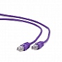   Cablexpert FTP, 6, 0.25 ,   (PP6-0.25M/V)