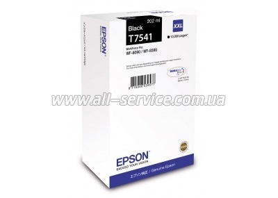  Epson Black (C13T754140)