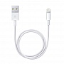  Apple Lightning to USB 2.0 iPod/ iPhone (MD818ZM/A)